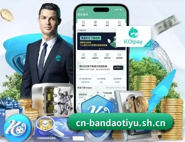 半岛体育 APP 深度功能 - bandao