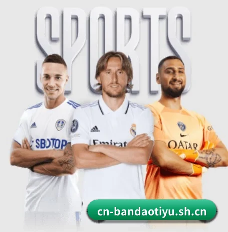 每个板块围绕一个运动项目展开(bandao)