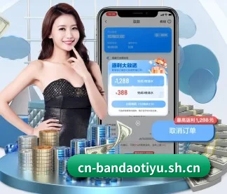 国际化进程(bandao)
